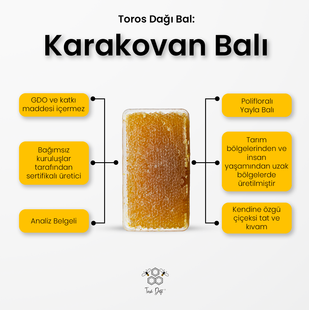Toros Dağı Karakovan Balı 600 Gr